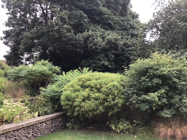 Coastal Garden Design