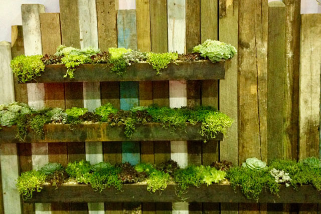 Ideal Home Show Garden Awards