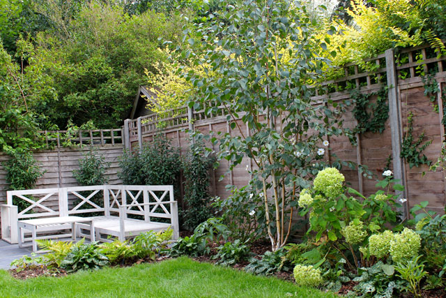 Garden Plant Design Hertfordshire