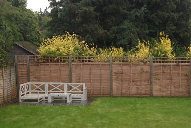 Garden Plant Design Hertfordshire 
