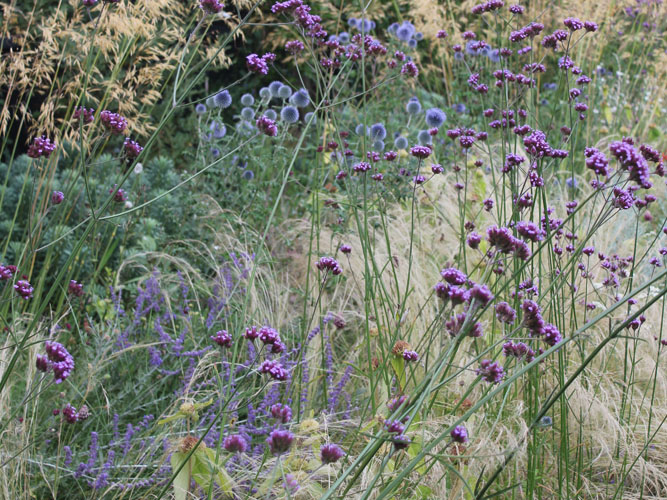 Large Family Garden Design, St Albans