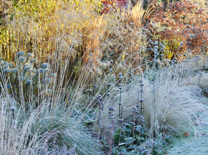 Large Family Garden Design, St Albans