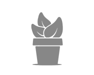 Vanessa Blain planting design service